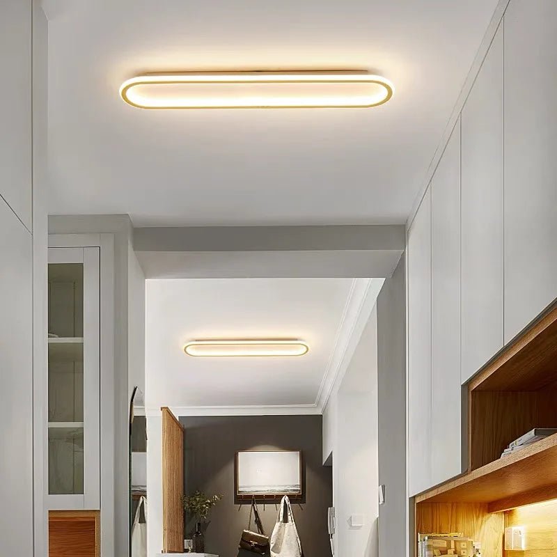 Modern Oval LED Ceiling Light - Handy House